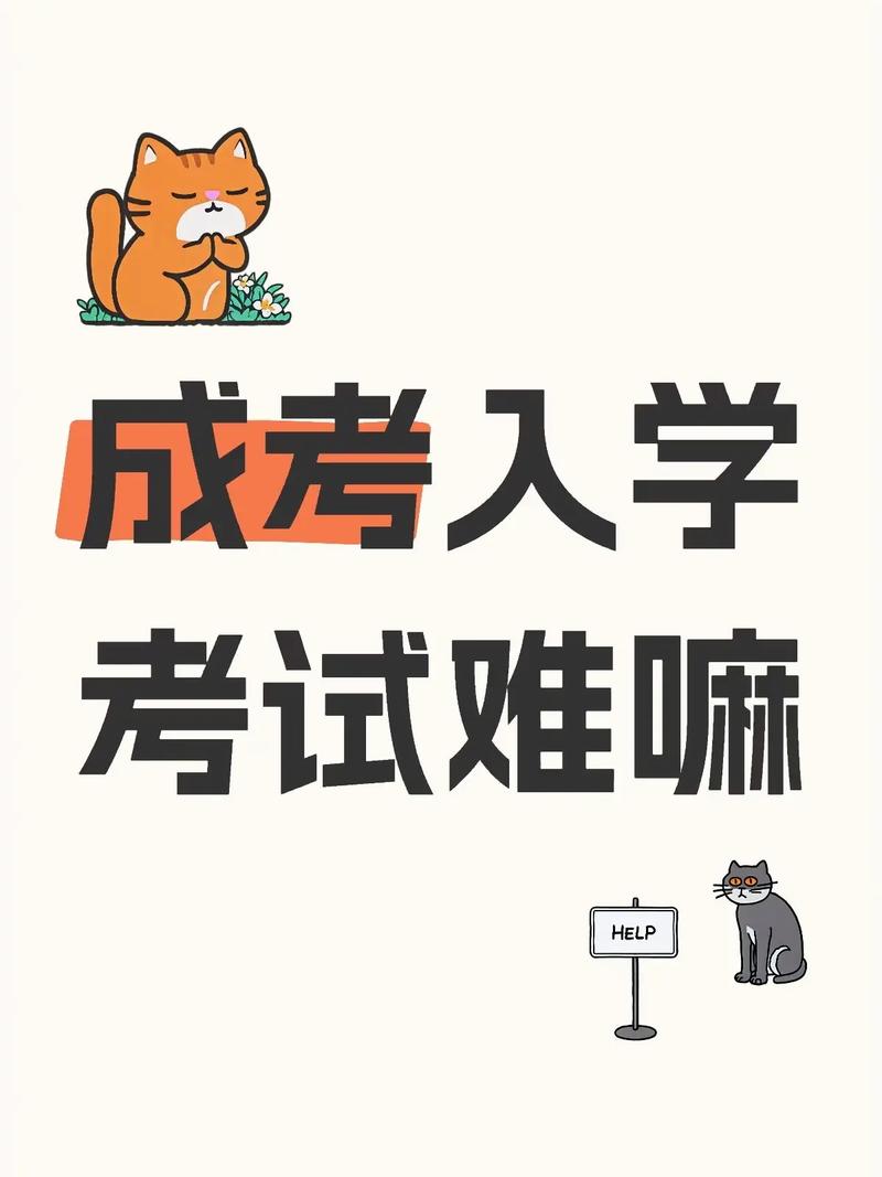 专升本的照片是几寸的啊。